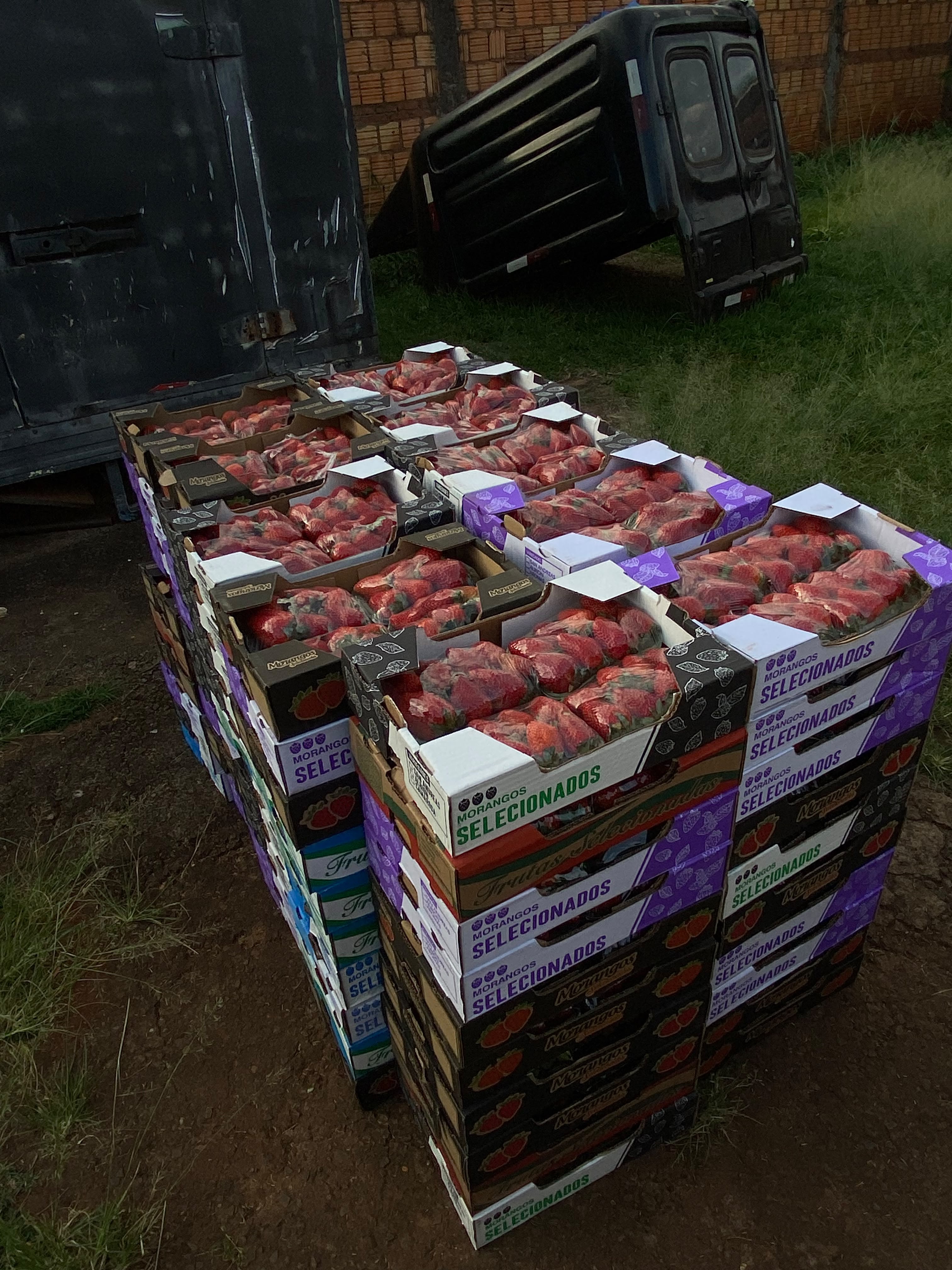 Pallet de caixas de morangos selecionados da Rodrigo Morangos, prontos para entrega